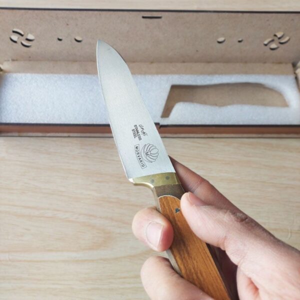 چاقو تک اشپزخانه
